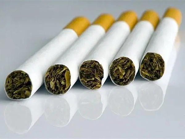 烟草废气处理